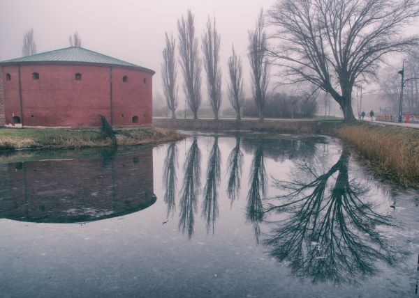 Wasser,Natur,Betrachtung,Schnee,Bäume,See