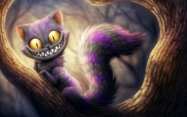 kat,Cheshire Cat,duisternis,screenshot,2560x1600 px,oog