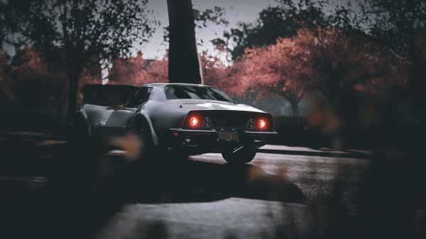 Corvette c3,Старожил,автомобиль,Шевроле Корвет Стингрей,Forza Horizon 4,видео игры