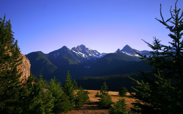 des arbres,paysage,forêt,Montagnes,colline,la nature