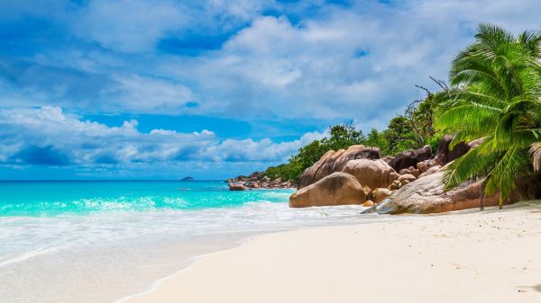 natură,Insula tropic,Seychelles,plajă,mare,stâncă