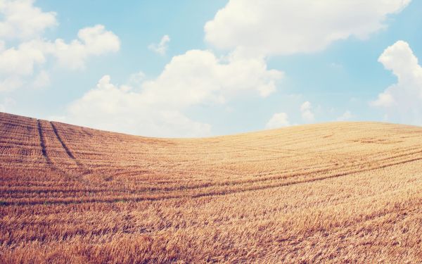 panorama,Colina,céu,campo,nuvens,horizonte