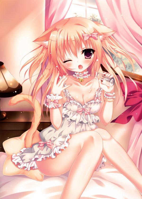 illustration, cheveux longs, Nekomimi, Anime, Filles anime, Oreilles d'animaux