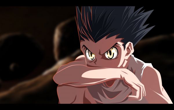 illustration,anime,tegneserie,Hunter x Hunter,Gon Freecss,gon