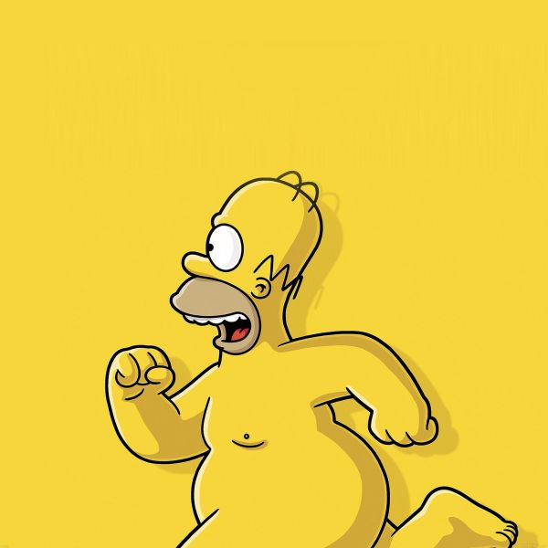 Homer Simpson,2048x2048 px