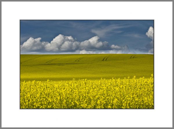 niebieski,pole,żółty,Feld,Bawaria,wiosna