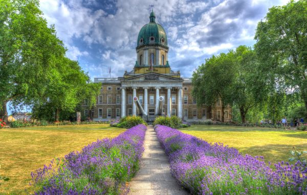 bloem,fabriek,wolk,hemel,gebouw,groen