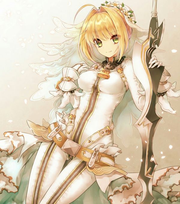 аниме,Аниме девушки,Серия Fate,Fate Extra,Fate Extra CCC,Судебная практика