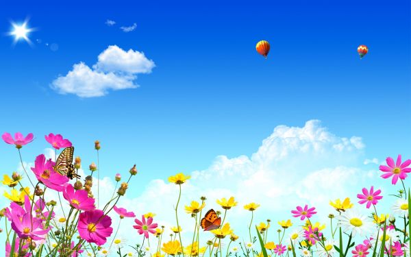 sollys,illustration,himmel,fly,blomster,Mark