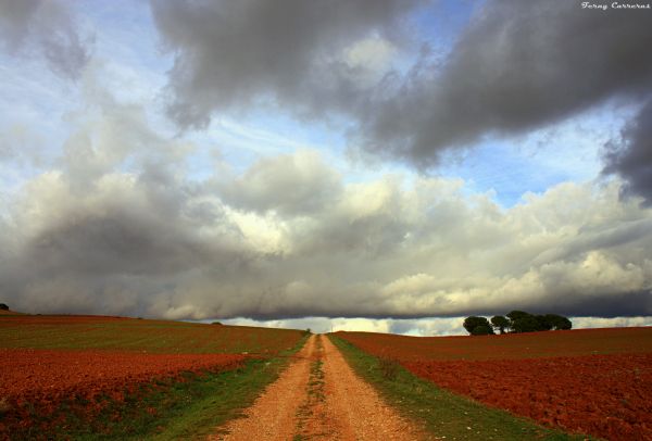 slnečnému žiareniu,krajina,príroda,tráva,neba,kopec