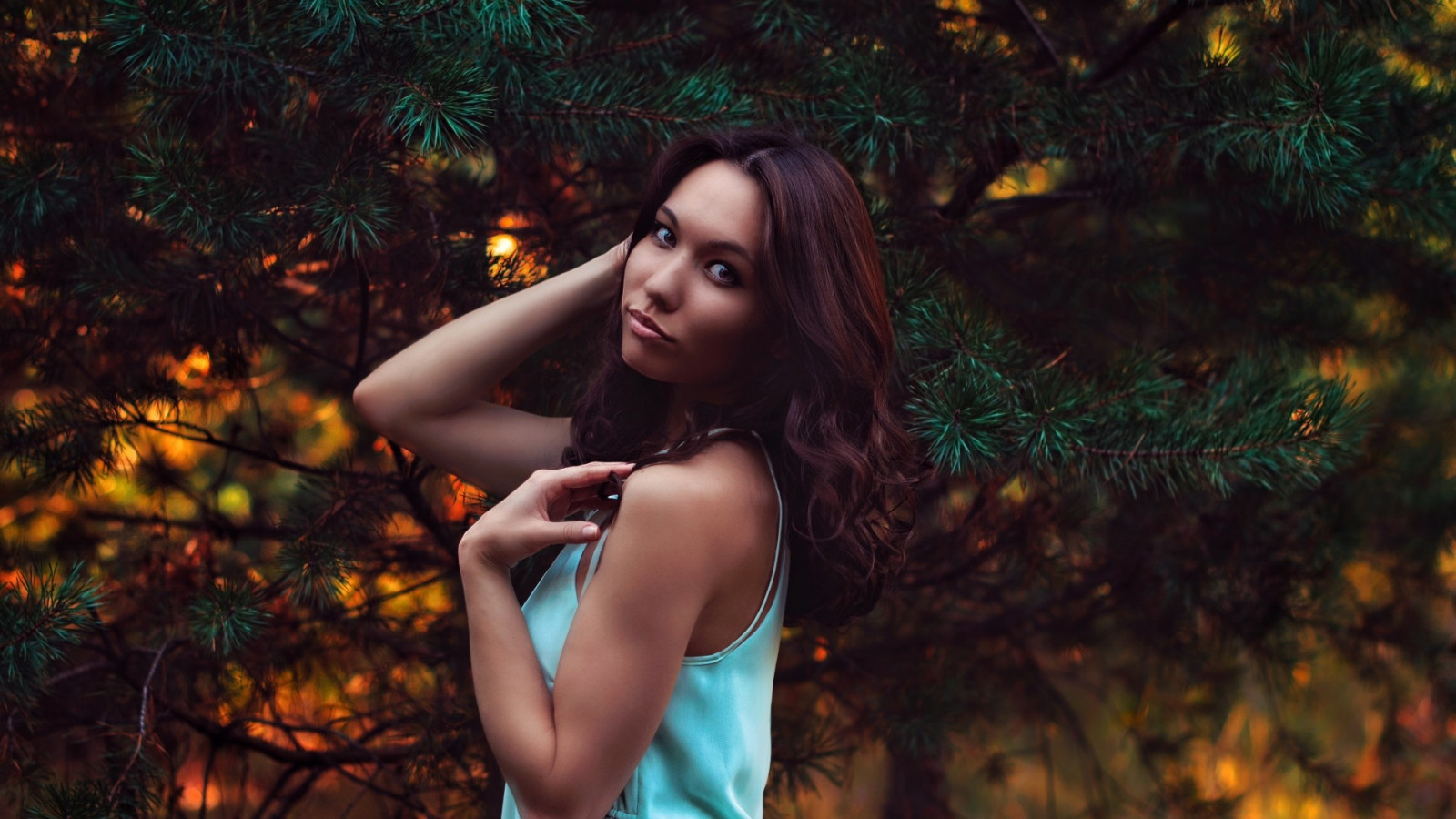 zonlicht, Bos, women outdoors, vrouw, model-, lang haar, natuur, brunette, blote schouders, kijken naar kijker, fotografie, jurk, bruine ogen, handen in het haar, mode, dennenbomen, blauwe kleding, oerwoud, de lente, boom, herfst, bloem, meisje, schoonheid, seizoen, fotograaf, leefgebied, natuurlijke omgeving, portretfotografie, fotoshoot