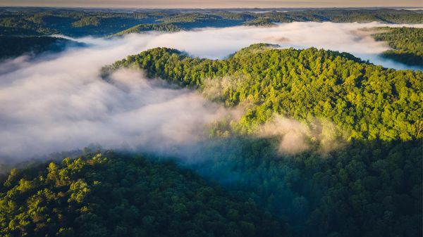 drzewa,west virginia,fotografia,Chmury,Wzgórza