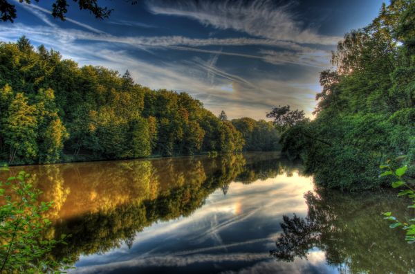 luz solar,panorama,floresta,lago,agua,natureza