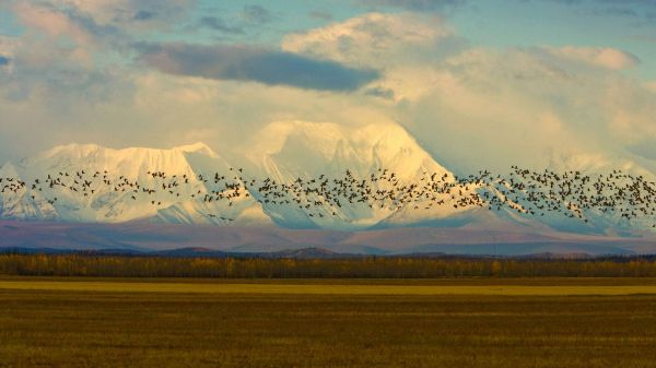 Wolke,Himmel,Pflanze,Ecoregion,Natural landscape,Berg