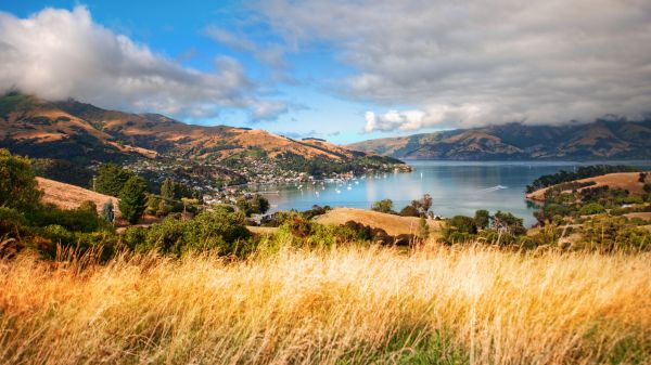 Trey Ratcliff,fotografi,pemandangan,alam,Selandia Baru,Akaroa