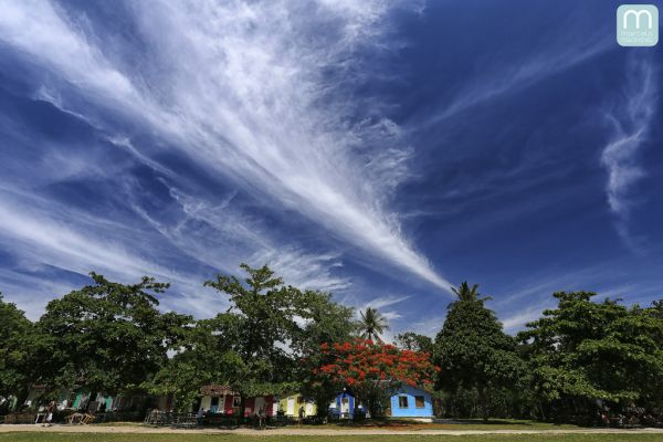 風景, 自然, 空, 日光, 草, フィールド