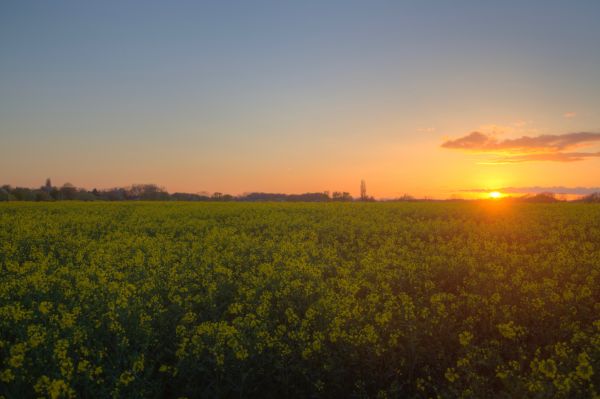 ușoară,apus de soare,cer,nori,Canon,Germania