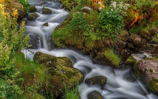 paysage,eau,la nature,forêt,cascade,Roche