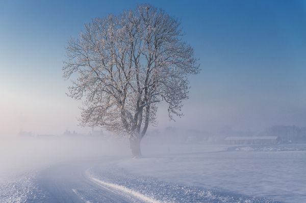 schnee,musim dingin,matahari terbenam,langit,Matahari,salju