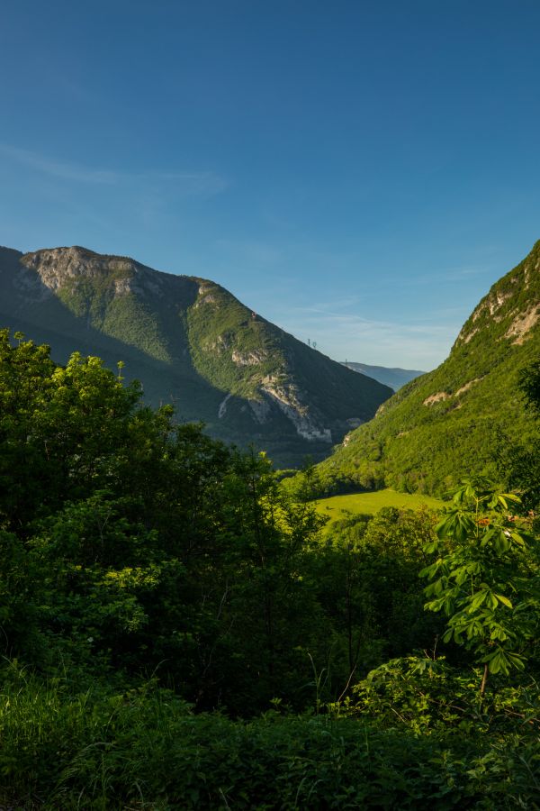 写真,屋外,木,山々,風景,フィールド