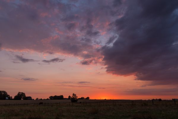 manhã,céu,nuvem,nascer do sol,panorama,campo