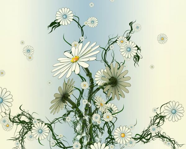 blomster,grøn,gul,hvid,illustration,afdeling