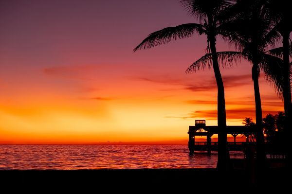 minimalism,sunset,beach,palm trees,pier,dock