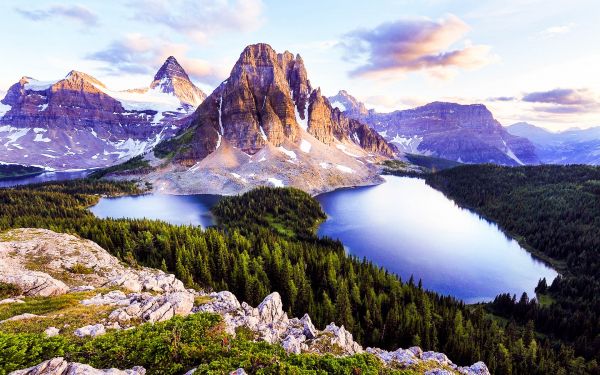 des arbres, paysage, forêt, Montagnes, Lac, Roche