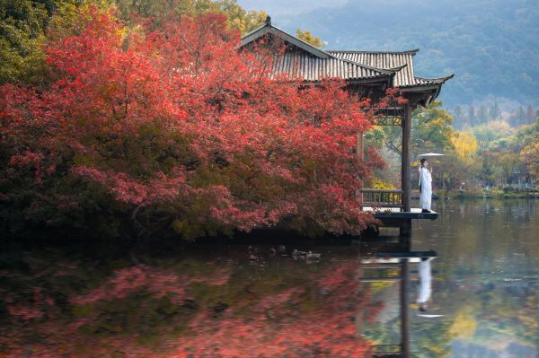 500ピクセル,風景,反射,写真,オリエンタル