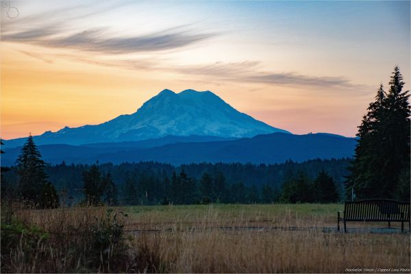 Mount Rainier,natuur,Pack Forest