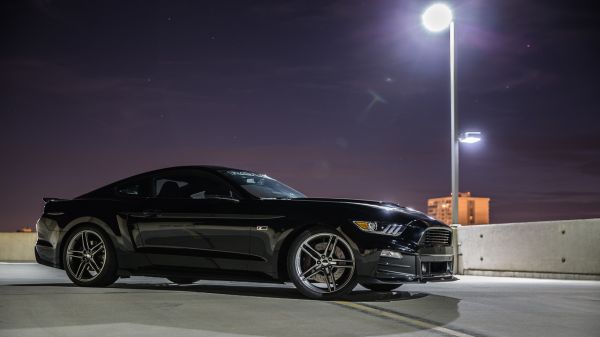 car,vehicle,sports car,Ford,2015,performance car