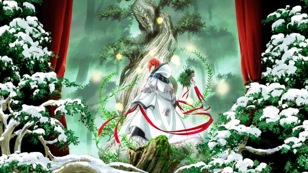 Mahoutsukai no Yome,Hatori Chise