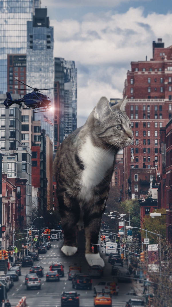 by,4k,killinger,catzilla,katte,Godzilla