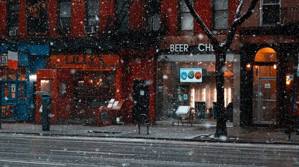 建造,窗口,路面,雪,冷冻,市