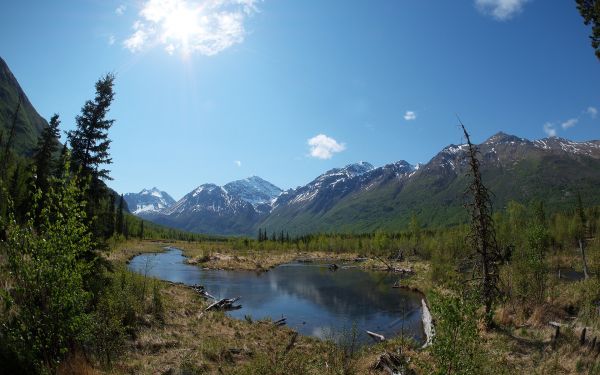 景观,山,湖,性质,反射,河