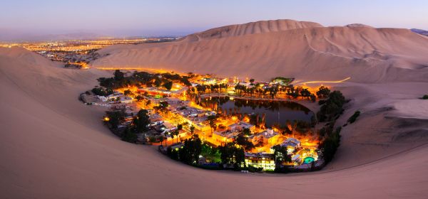 Natur,Landschaft,Bäume,Wüste,Peru,Oase