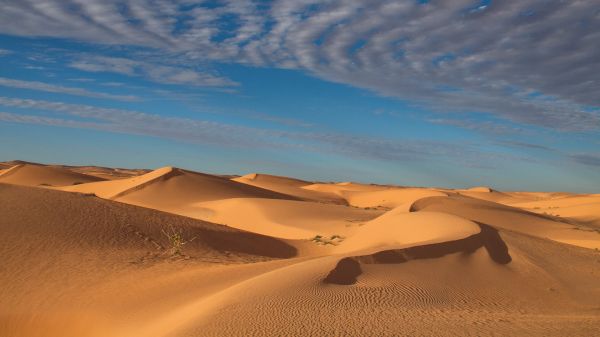 la nature,paysage,le sable,désert,les plantes,des nuages