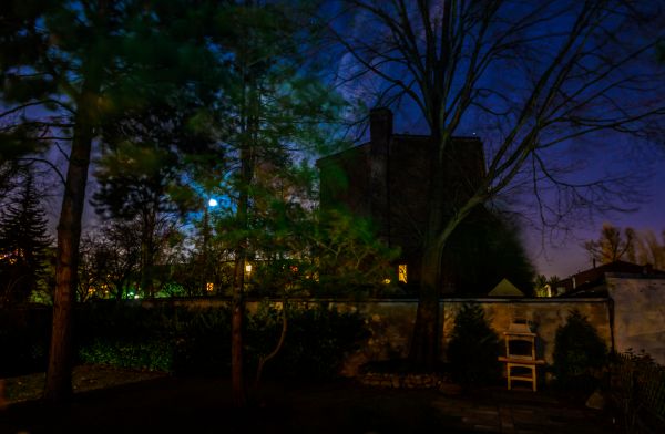 larga exposición,Árboles,Luna,noche,tormenta,jardín