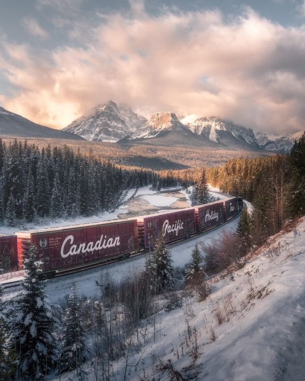 natură,tren,copaci,pădure,afișare portret,Canada