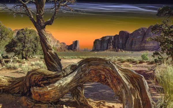 landscape,Monument Valley,nature,1920x1200 px,dead trees,grass