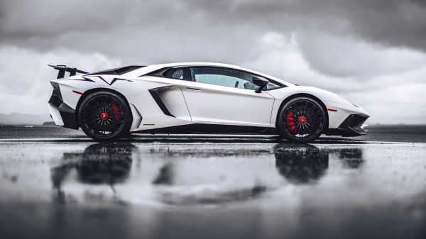 Lamborghini,Lamborghini Aventador,xe hơi,Xe,Xe hơi trắng,Sự phản chiếu