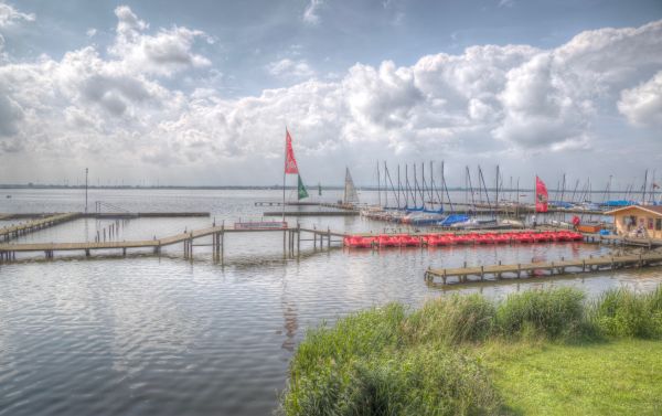 lumière,été,Lac,plage,eau,Juni