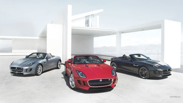 bil,kjøretøy,sportsbil,ytelse bil,Jaguar F Type,hjul