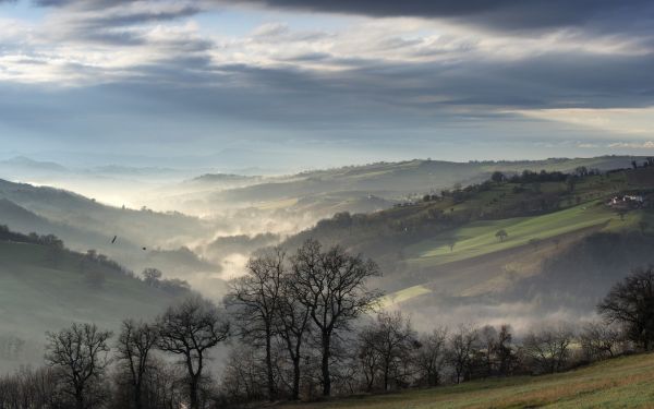 slunečnímu záření, stromy, krajina, les, kopec, Příroda