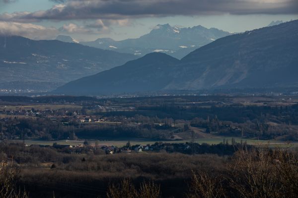 nature,trees,forest,wood,photography,mountains