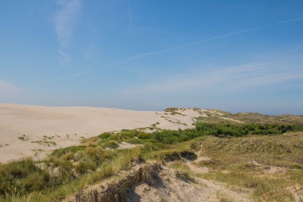 風景, 海, 丘, 砂, 海岸, 湖