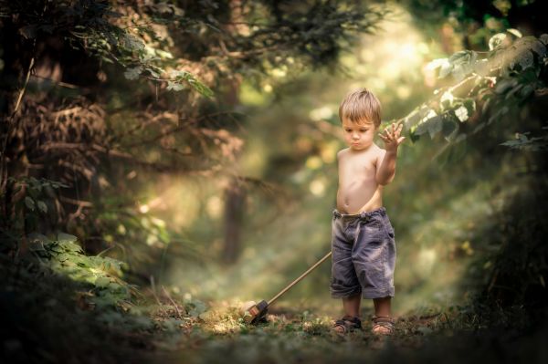 luz de sol,bosque,niños,naturaleza,rayos de sol,selva