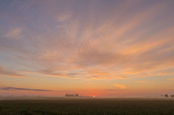 Morgen, Himmel, Wolke, Sonne, Nebel, Sol