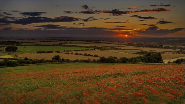 1920x1080 px, nuvens, Campos, cor, Fazenda, Flores