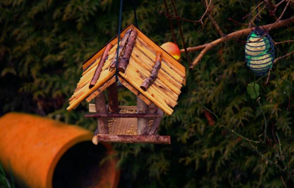 aves,jardín,madera,selva,Una mente maravillosa,Objeto hecho por el hombre